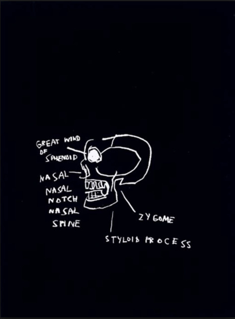 Jean Michel Basquiat Untitled Skull From The Anatomy Series 1982