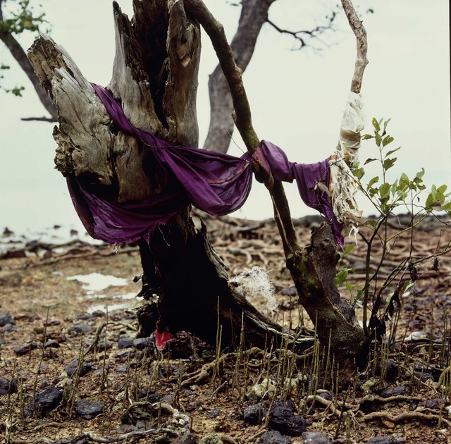 Simryn Gill, ‘Channel’, 2014, Jhaveri Contemporary