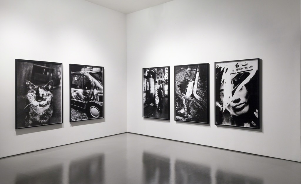 Daido Moriyama, Installation View Daido Moriyama, Installation View