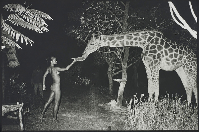 Peter Beard, ‘Maureen and a late-night feeder, 2:00am, Hog Ranch’, 1987, Phillips