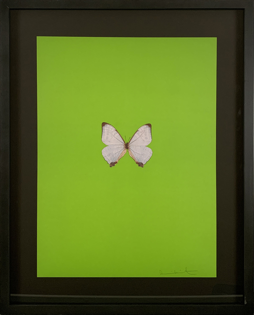 Damien Hirst, ‘Six Butterflies II’, 2011, DTR Modern Galleries