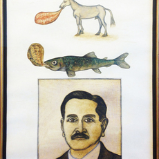 Yüksel Arslan