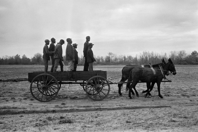 Constantine Manos, ‘Untitled, Sharecroppers, South Carolina (7 men standing in a wagon)’, 1965, Robert Klein Gallery