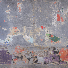 Raymond Hains