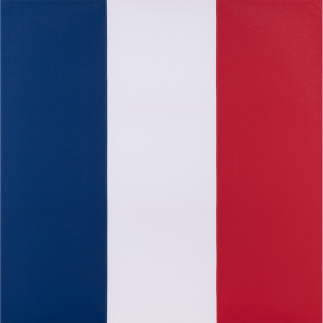 Jean-Pierre Raynaud | Drapeau (1998) | Artsy