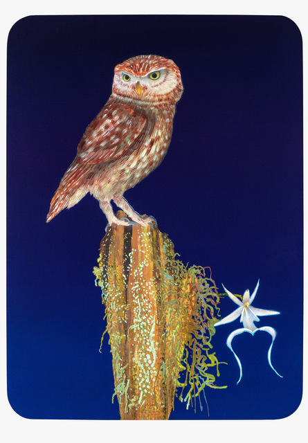 Michael Krueger, ‘Owl & The Orchid’, 2020, Painting, Acrylic on linen, Cade Tompkins Projects