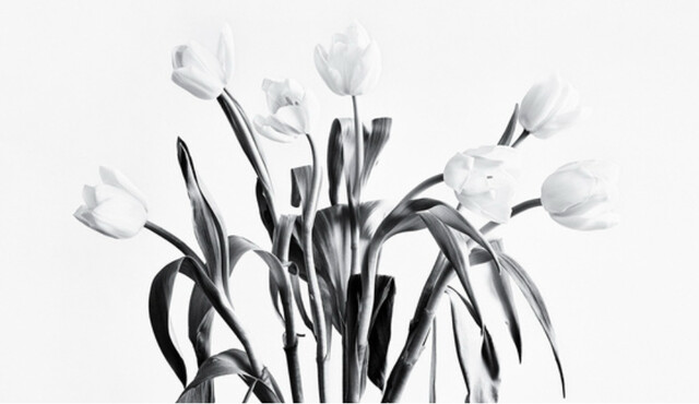 Untitled #23