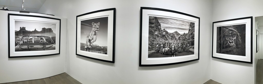 David Yarrow: Off Road & After Hours: The Break Up, 2018; Emma, Dinokeng, South Africa, 2017; The Leader of the Pack, 2019; Kong, 2019 David Yarrow: Off Road & After Hours: The Break Up, 2018; Emma, Dinokeng, South Africa, 2017; The Leader of the Pack, 2019; Kong, 2019