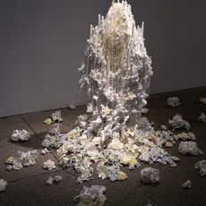 Petah Coyne