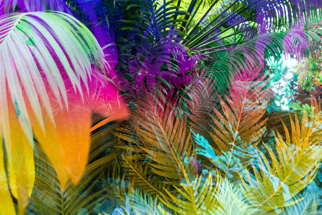 Karine Laval, ‘Heterotopia #64’, 2017, Robert Koch Gallery