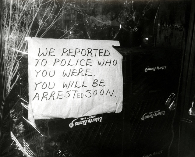 Andy Warhol, ‘Andy Warhol, Photograph of a Funny Sign (We Reported You to the Police...), 1981’, 1981, Hedges Projects