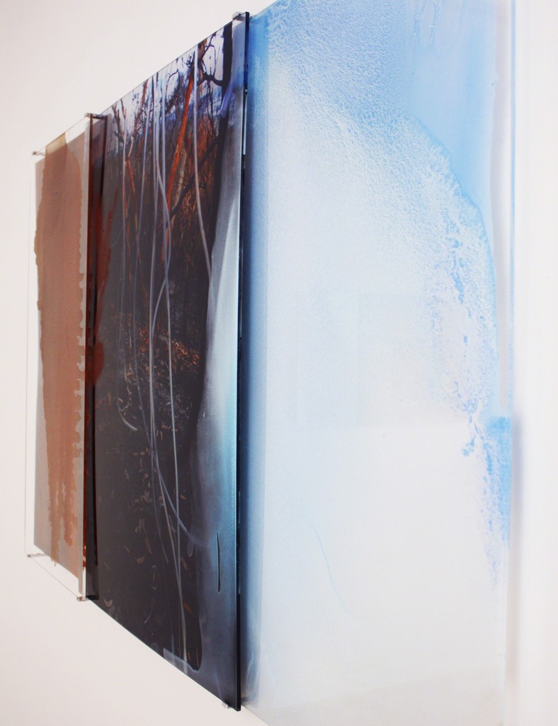 Installation View, Janet Laurence 'Works from the Kimberly trip' Installation View, Janet Laurence 'Works from the Kimberly trip'