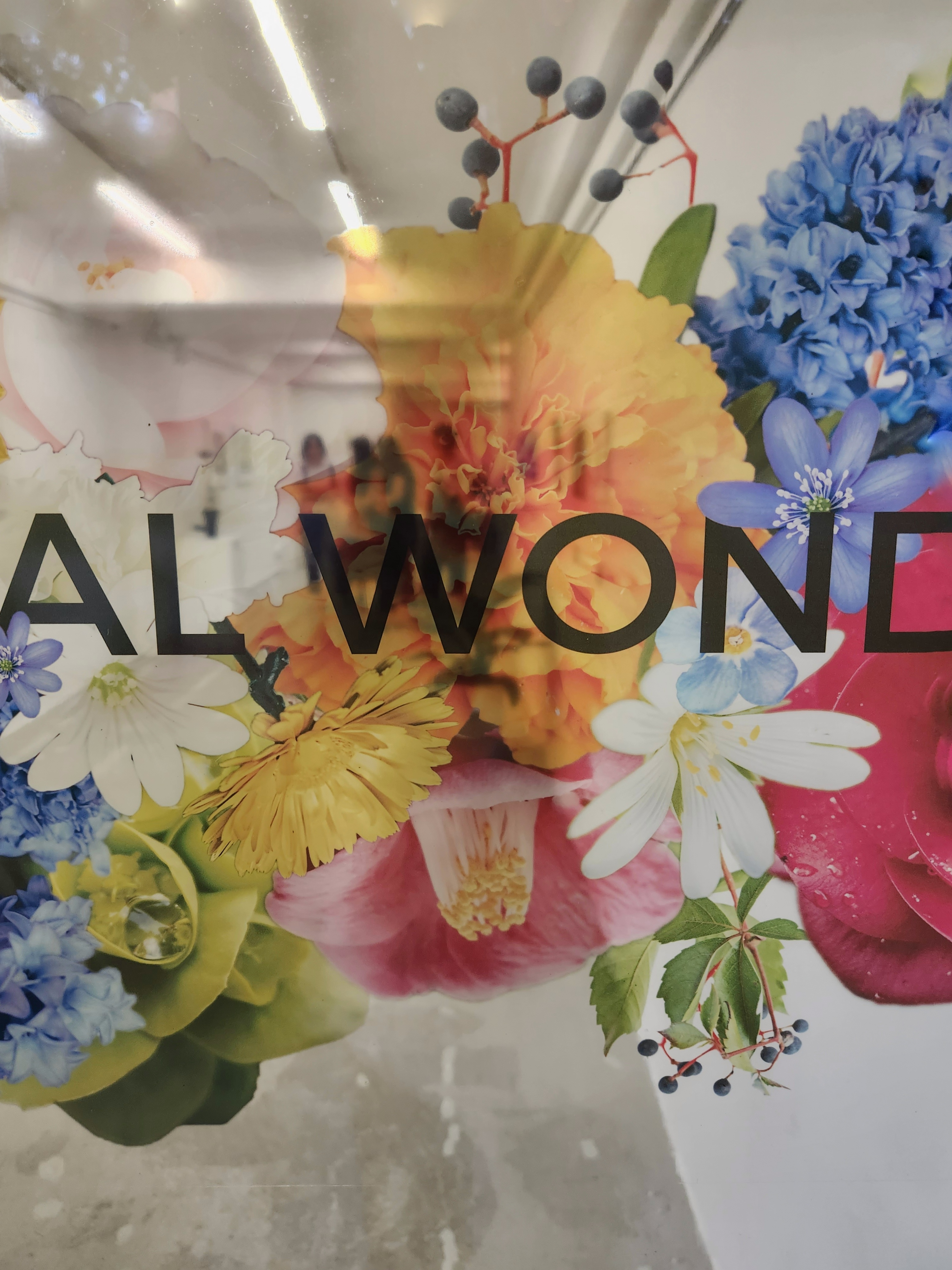 Karin Weber Gallery logo