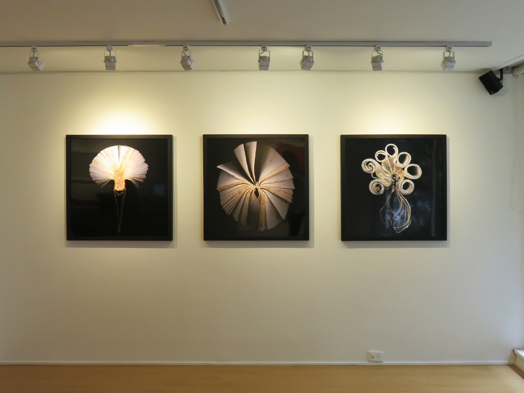 NOVA | Beatriz Esguerra Art | Artsy