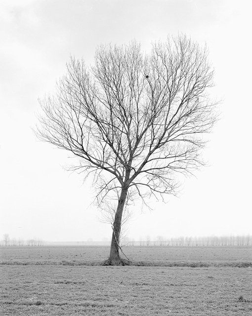Paola De Pietri, ‘Untitled 011, Questa Pianura series’, 2004, Galerie Les filles du calvaire