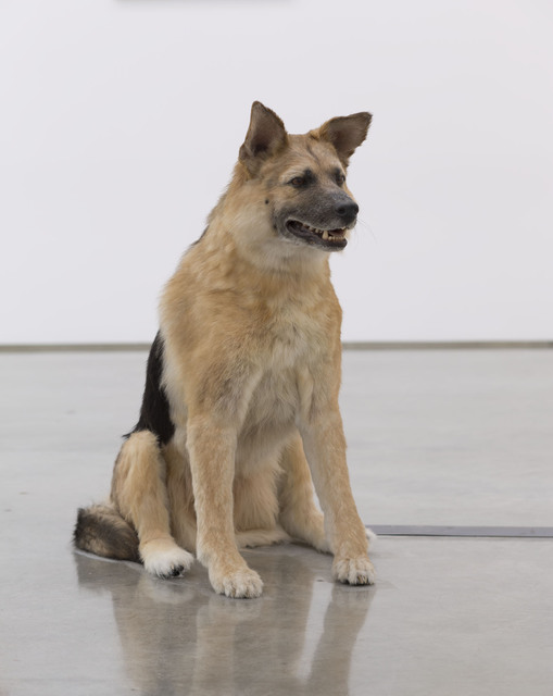 Piero Golia, ‘The Dog and the Drop’, 2013, Gagosian