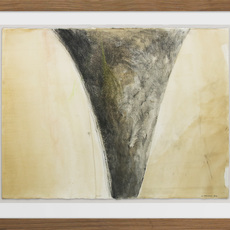 Sorrel Hofmann