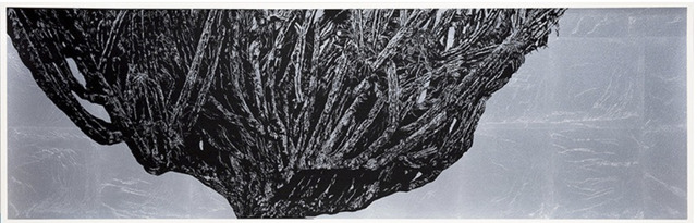 Jan Hendrix, ‘Book VI, l.’, 2016, Anémona Editores