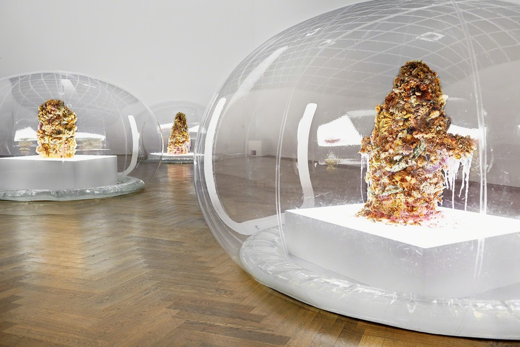 Anicka Yi, Installation view of "7,070,430K of Digital Spit," Kunsthalle Basel, 2015 Photo: Philipp Hänger
Anicka Yi, Installation view of "7,070,430K of Digital Spit," Kunsthalle Basel, 2015 Photo: Philipp Hänger