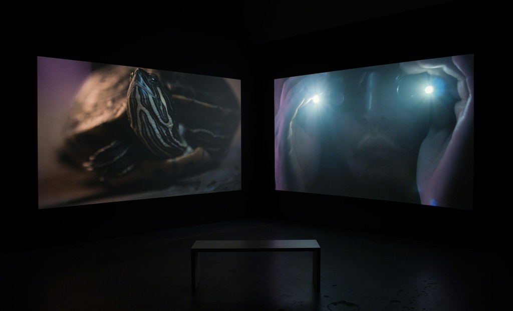 Installation View: Christopher Richmond, Double Fantasy, March 5 - April 23, 2016, Moskowitz Bayse, Los Angeles. Installation View: Christopher Richmond, Double Fantasy, March 5 - April 23, 2016, Moskowitz Bayse, Los Angeles.
