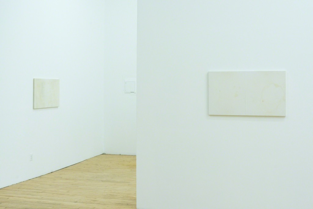 KEITH NELSON: Ordinary Display at The Alice Wilds KEITH NELSON: Ordinary Display at The Alice Wilds