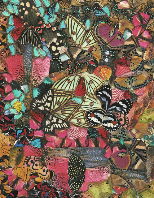 Nathalia Edenmont, ‘Spellbinding’, 2013, Nancy Hoffman Gallery