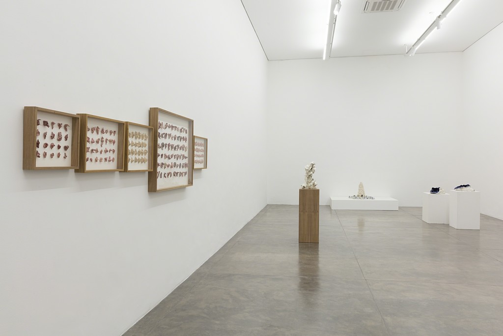 Brígida Baltar -- A Carne do Mar -- exhibition view -- Galeria Nara Roesler | São Paulo, 2018 -- photo Everton Ballardin © courtesy of the artist and Galeria Nara Roesler Brígida Baltar -- A Carne do Mar -- exhibition view -- Galeria Nara Roesler | São Paulo, 2018 -- photo Everton Ballardin © courtesy of the artist and Galeria Nara Roesler
