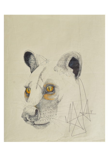 Louis Masai, ‘WWF Series - «The stare into extinction...»’, 2019, NextStreet Gallery