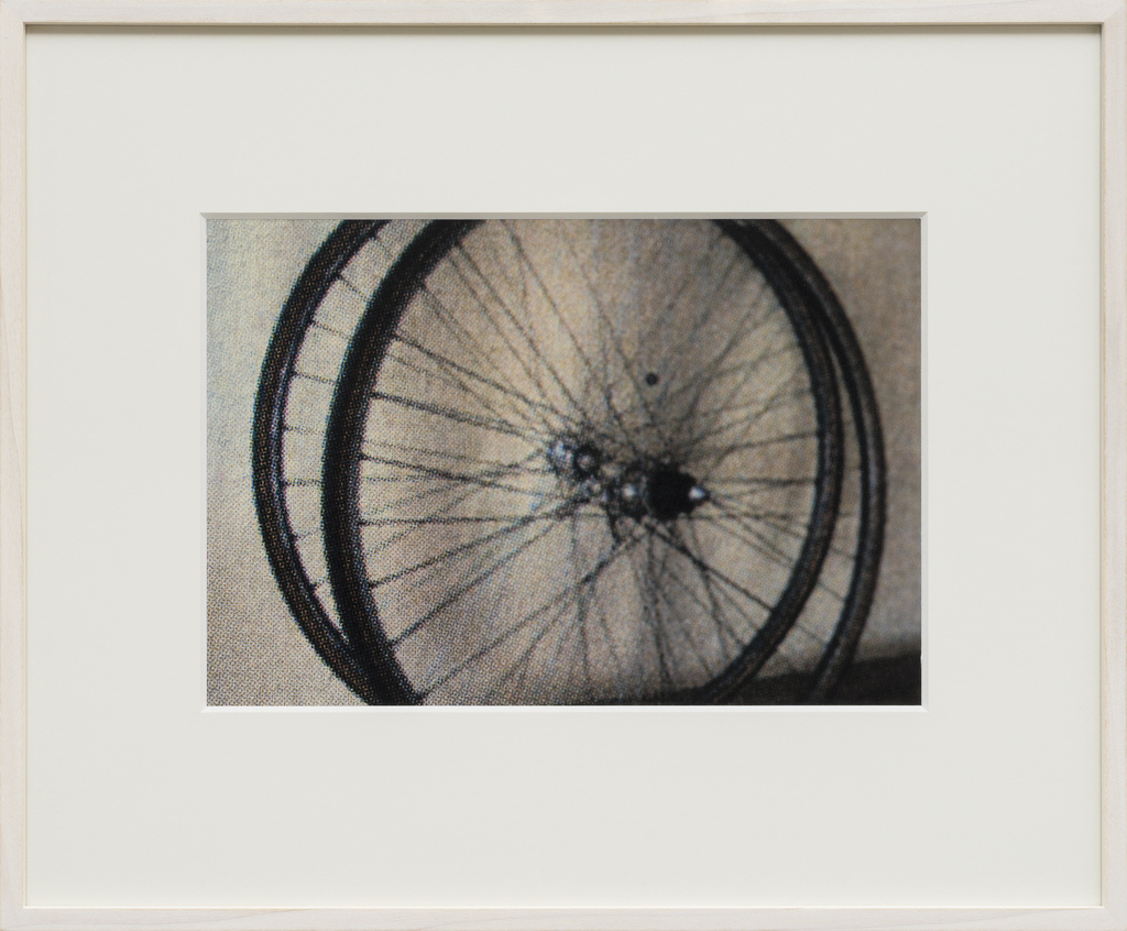 titan rogue peak md 29 mountain bike