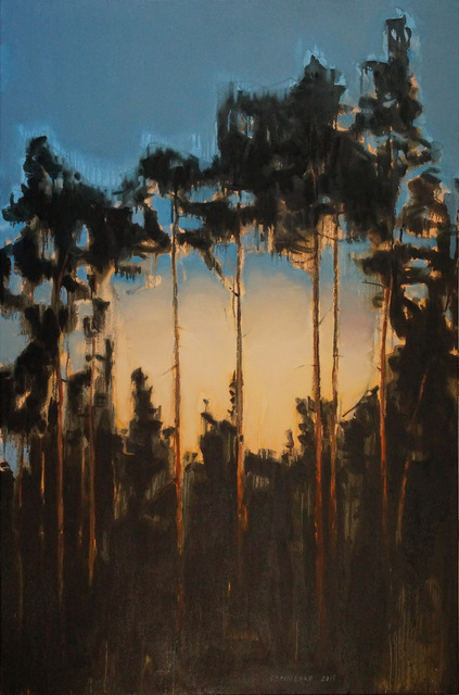 Oleksii Beliusenko, ‘Pazaislis. Pines (#2)’, 2015, Saphira & Ventura Gallery