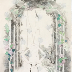 Lu Wei