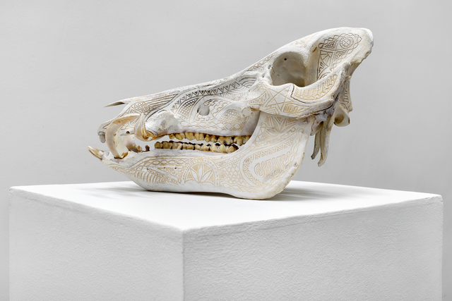 Alex Sweet, ‘Anatomize’, 2014, PRIMARY