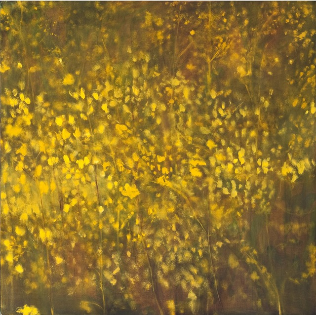 Carole Pierce | Light Field III (2013-2014) | Available for Sale | Artsy