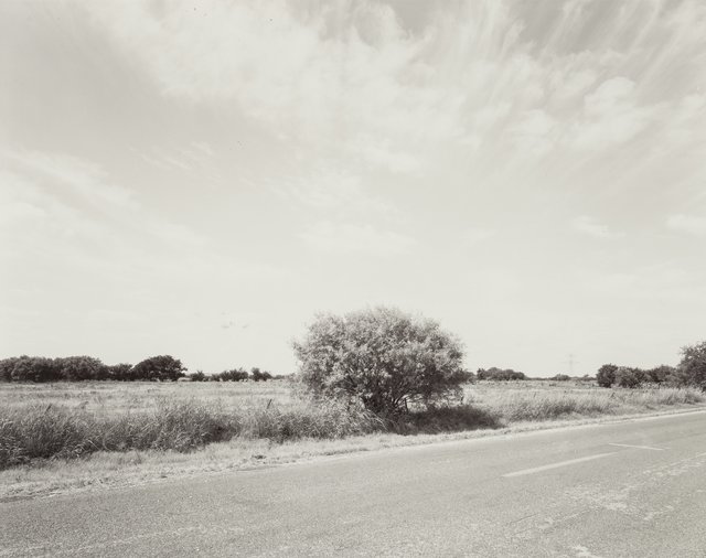 Luther Smith, ‘Mesquite Tree South of Ft. Worth, TX’, 1987, Heritage Auctions