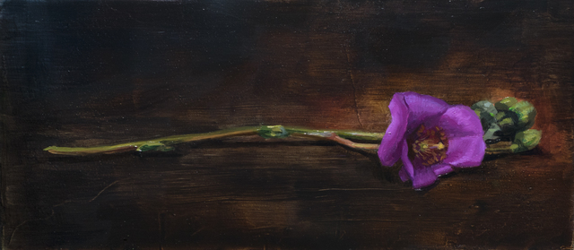 Robin Cole, ‘Gentian’, 2018, Painting, Oil on panel, Gallery 1261