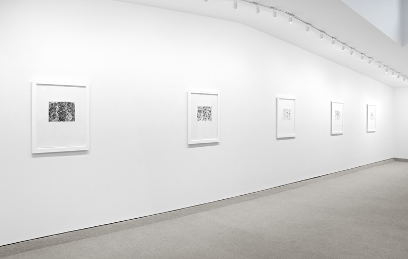 Installation view from BRICE MARDEN: Prints from 1972 to 1998 Installation view from BRICE MARDEN: Prints from 1972 to 1998