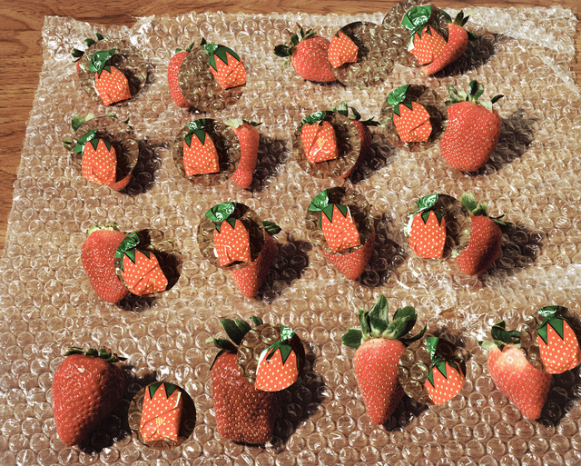 Lucas Blalock, ‘Strawberries (fresh forever)’, 2014, The Museum of Modern Art