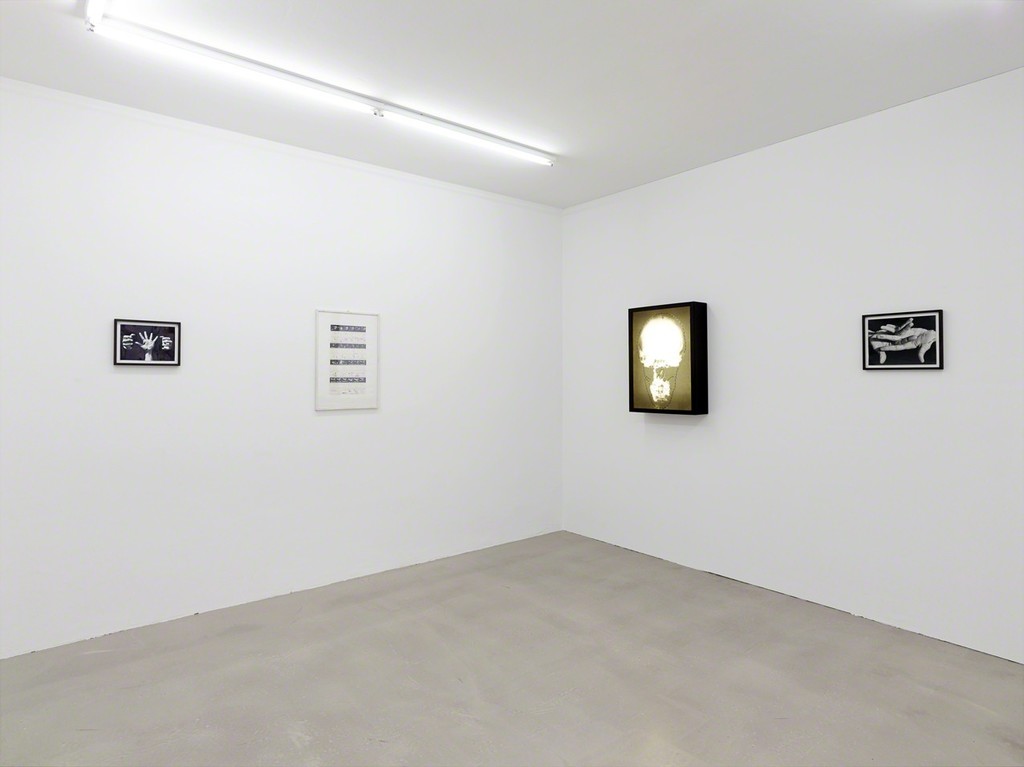 installation view, Kadel Willborn, Düsseldorf, Germany, 2014 installation view, Kadel Willborn, Düsseldorf, Germany, 2014
