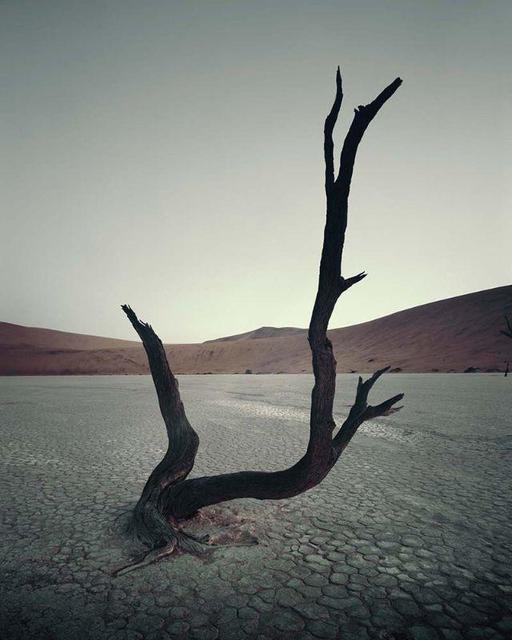 Jimmy Nelson, ‘IV 470 - Dead Vlei, Sossusvlei Namibia’, 2011, Photography, AbrahamArt