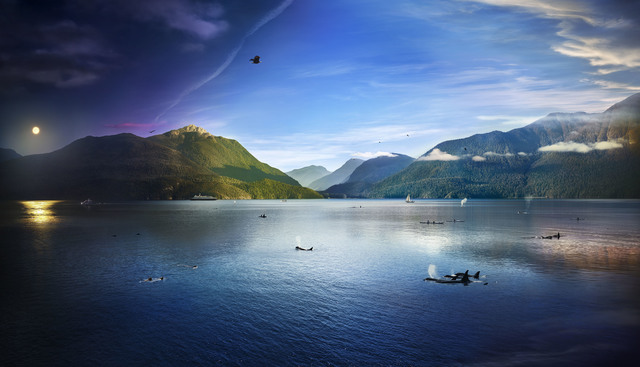 Stephen Wilkes, ‘Robson Bight, British Columbia, Day to Night’, 2016, Bryce Wolkowitz Gallery