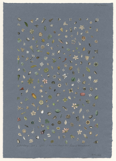 Billy Renkl, ‘Saturday, February 6, 1841: nature strews her flowers broadcast’, 2012, Drawing, Collage or other Work on Paper, Collage on Toned Paper, Foley Gallery