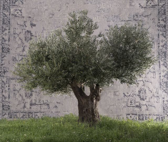 Tal Shochat, ‘Olive on an Old Carpet’, 2017, Photography, Color photograph, Rosenfeld Gallery