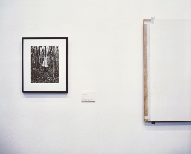 Louise Lawler, ‘Photograph, Painting’, 2000/2001, Other, Dye destruction print, flush-mounted., Phillips