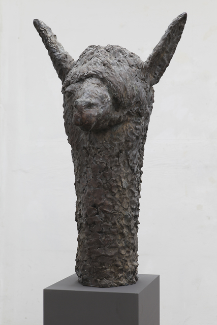 Jürgen Drescher, ‘Alpaka’, 2014, Mai 36 Galerie