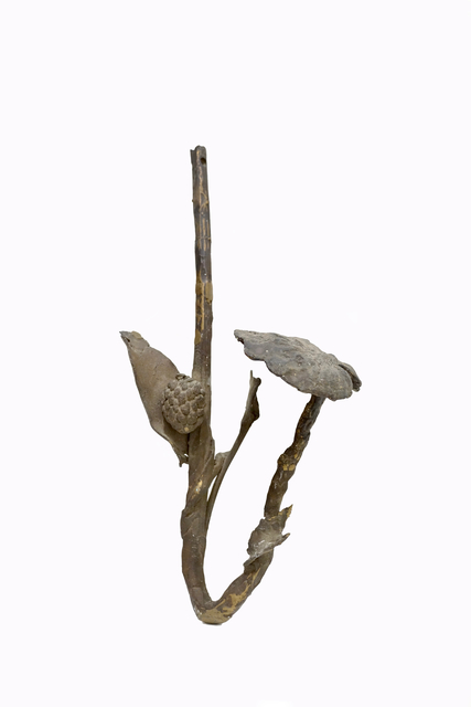Ming Fay 費明杰, ‘Gwa Branch’, 1998, Sapar Contemporary