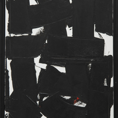 CHEN Weinong