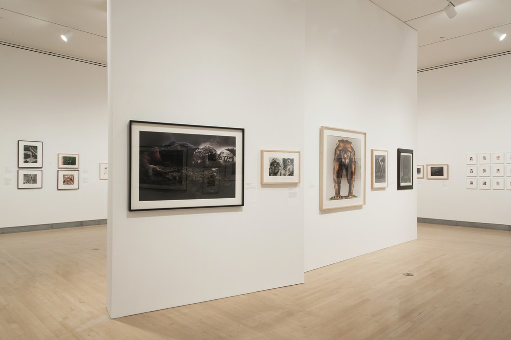 Installation view of "Who Shot Sports: A Photographic History, 1843 to the Present" at Brooklyn Museum, New York (2016) © Jonathan Dorado Installation view of "Who Shot Sports: A Photographic History, 1843 to the Present" at Brooklyn Museum, New York (2016) © Jonathan Dorado