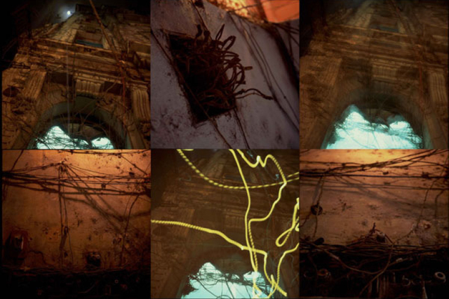 Miguel Rio Branco, ‘Homenage a Goeldi’, 2002, Galeria Filomena Soares