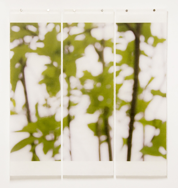 Jeri Eisenberg, ‘First Foliage’, 2009, Carrie Haddad Gallery