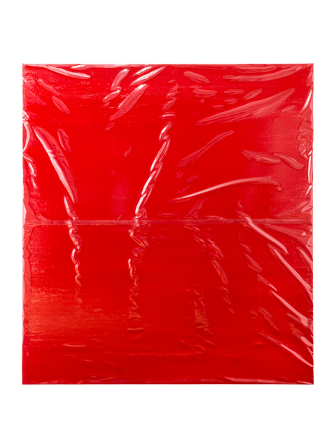 Angela de la Cruz, ‘Plastic Cover II’, 2016, Galerie Thomas Schulte